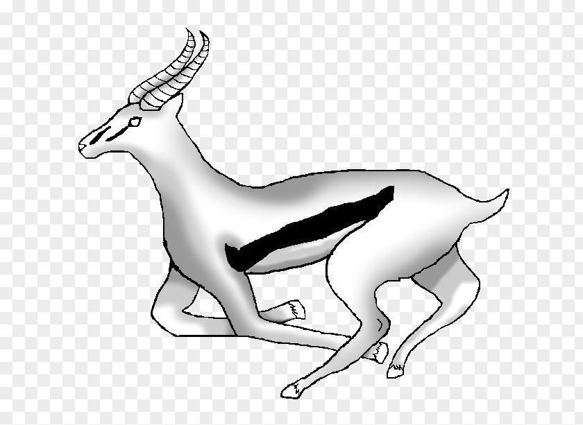Dog /m/02csf Deer Drawing Clip Art PNG