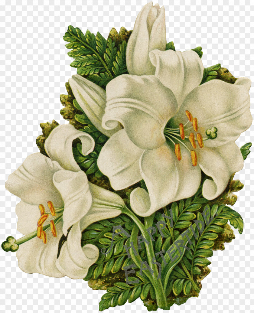 Flower Floral Design Cut Flowers Bouquet Rosaceae PNG