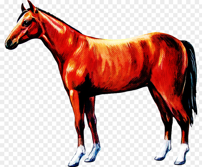 Horse Animal Figure Sorrel Mane Mare PNG