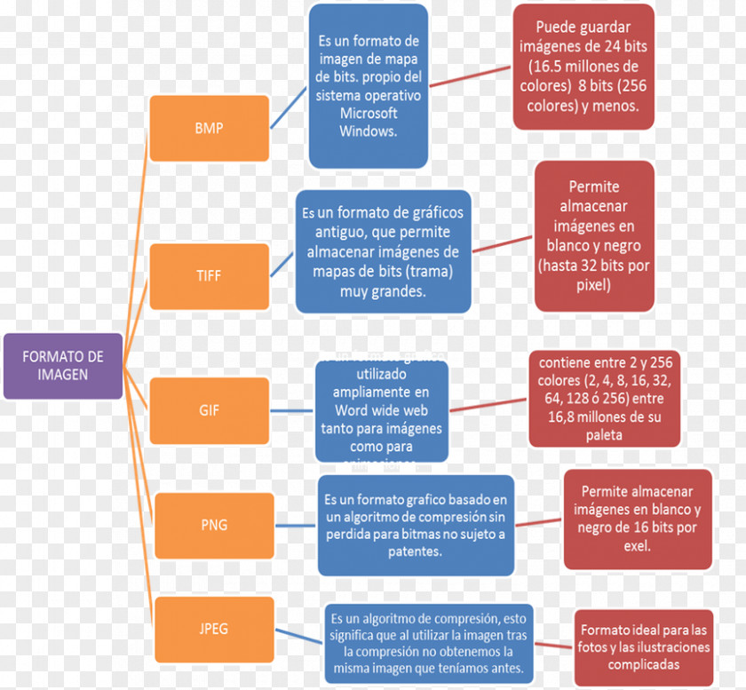 Microsoft Diagram Word Office Chart PNG