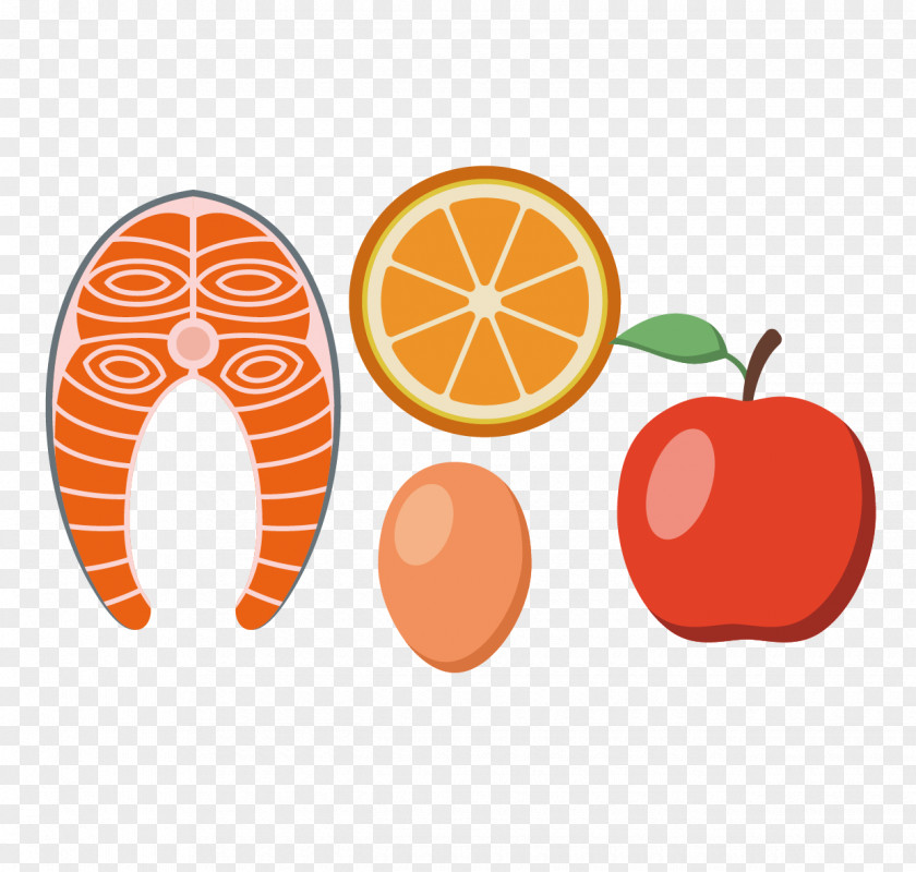 Orange Chicken Egg Apple Core Grapefruit Clip Art PNG