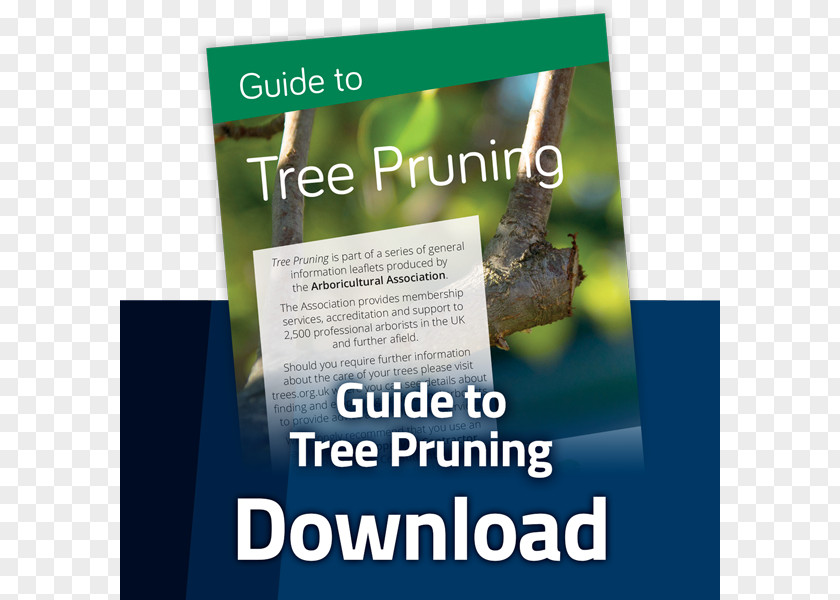 Schedule Pruning Shrubs Tree Arboriculture Product Arboricultural Association PNG