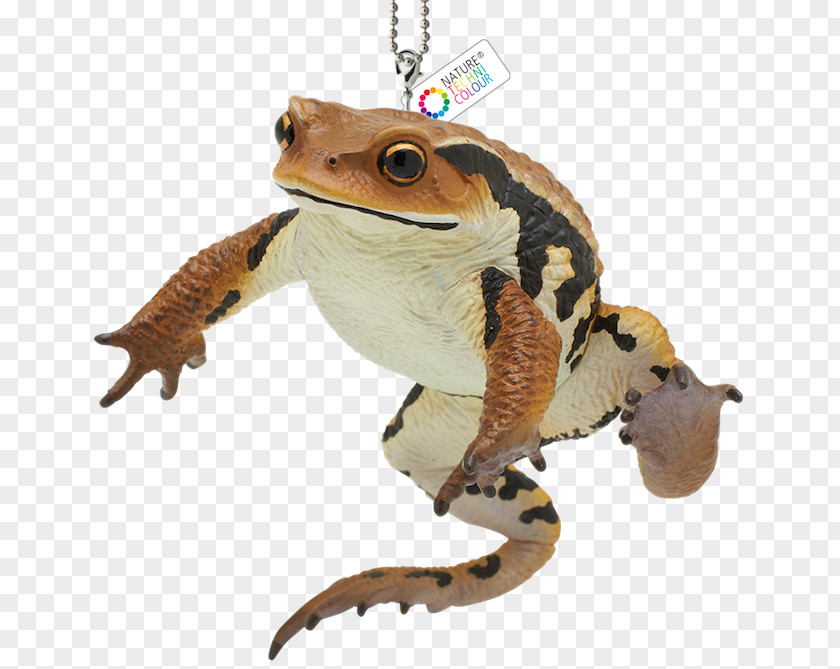 Schleich Animal Toys Toad True Frog Gashapon Goods PNG