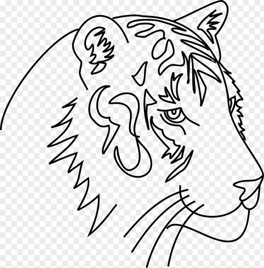 Tiger Whiskers Line Art Drawing Clip PNG