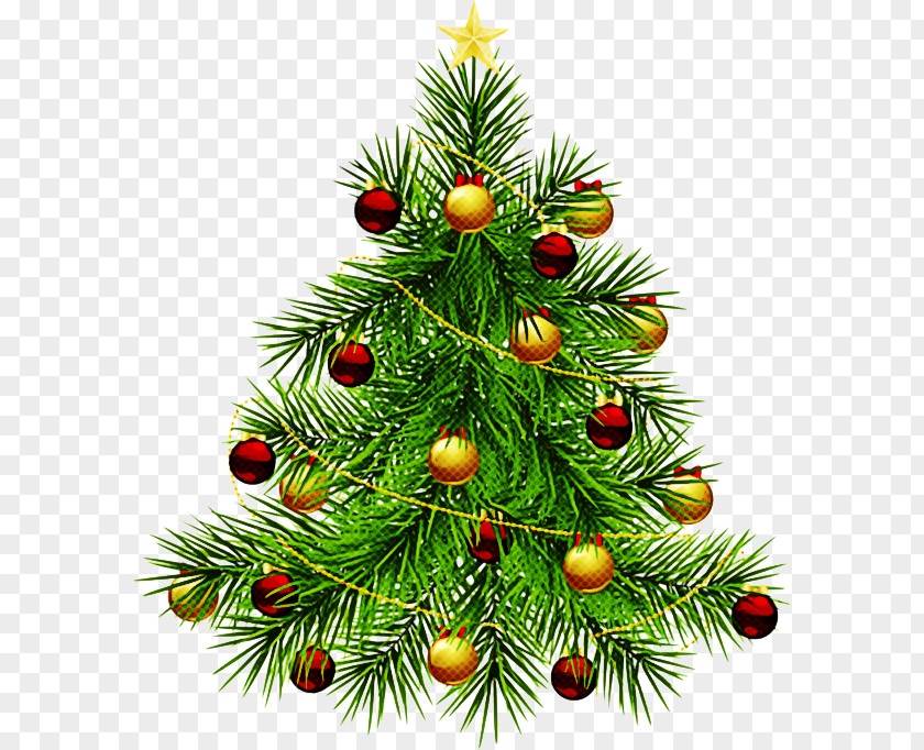 Branch Christmas Ornament Tree PNG