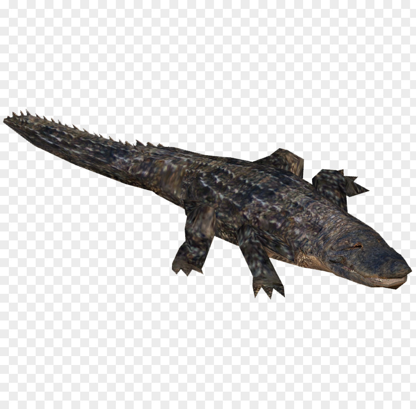 Crocodile Zoo Tycoon 2 Far Cry 5 American Alligator Nile Crocodiles PNG