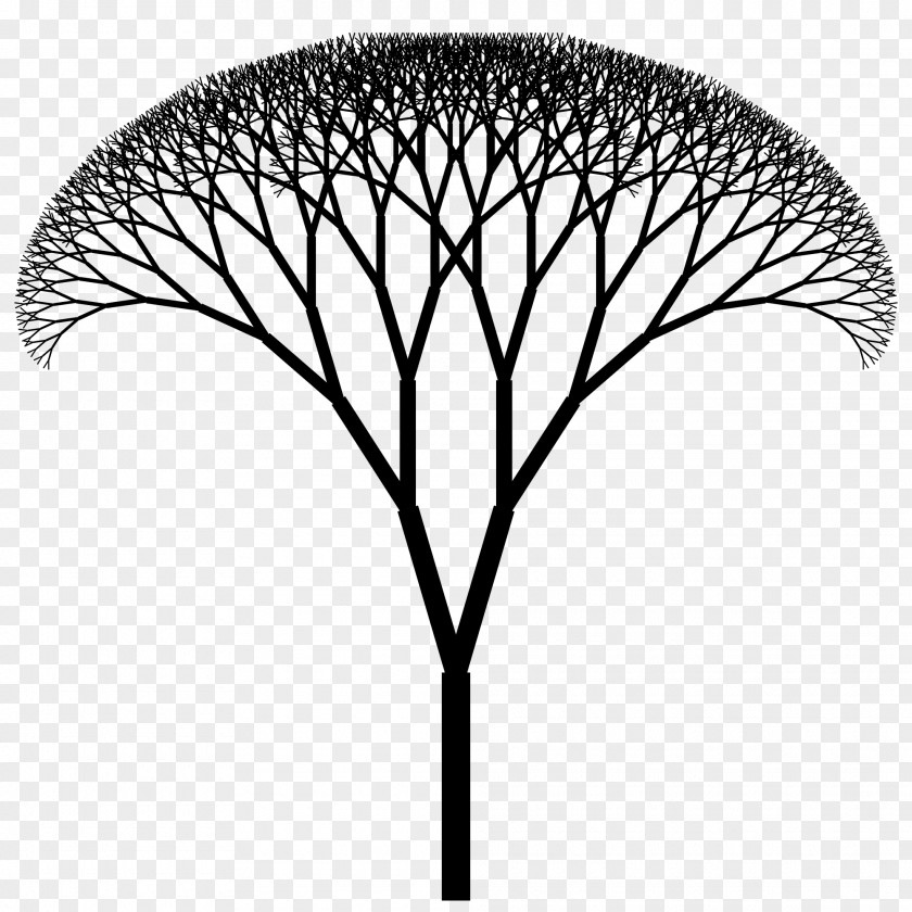Fractal Geometry The Of Nature Canopy Art Tree Index PNG
