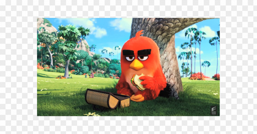 Angry Birds Animated Film Trailer PNG