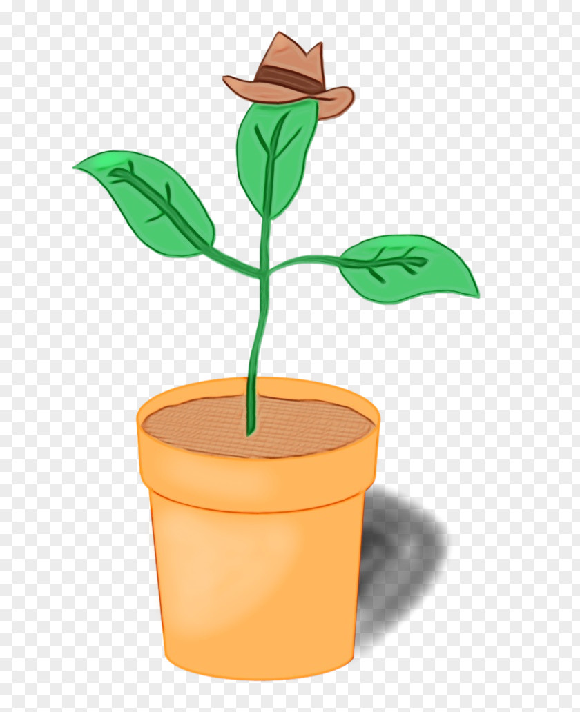 Anthurium Plant Stem Flowerpot Leaf Houseplant Flower PNG