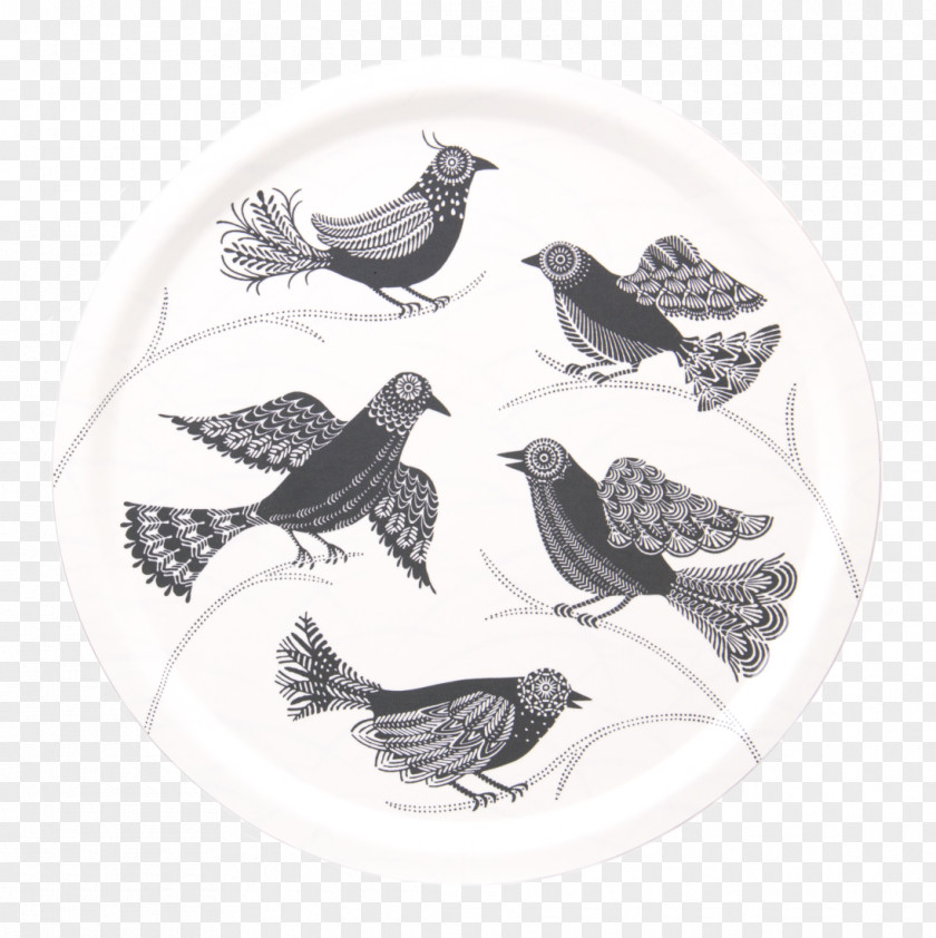 Bath Royal College Of Art Tray Columbidae PNG