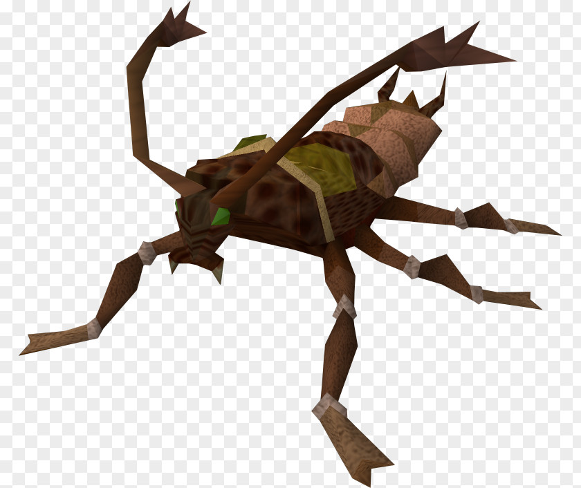 Cockroach RuneScape American Insect Termite PNG