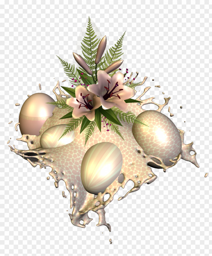 Eggs Easter Egg Photography 0 PNG
