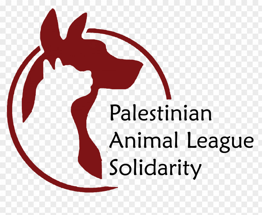 Palestine Al Quds Causes For Animals Dog Pet Animal Shelter PNG