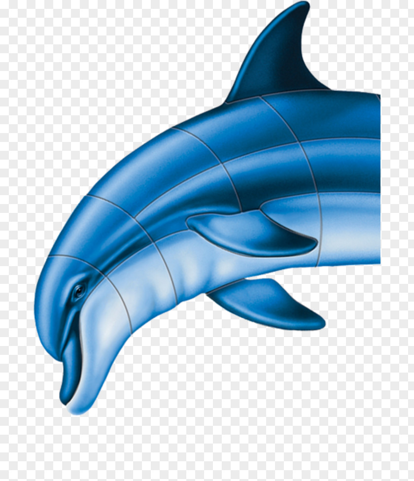 Swimming Tiles Common Bottlenose Dolphin Short-beaked Wholphin Tucuxi Rough-toothed PNG
