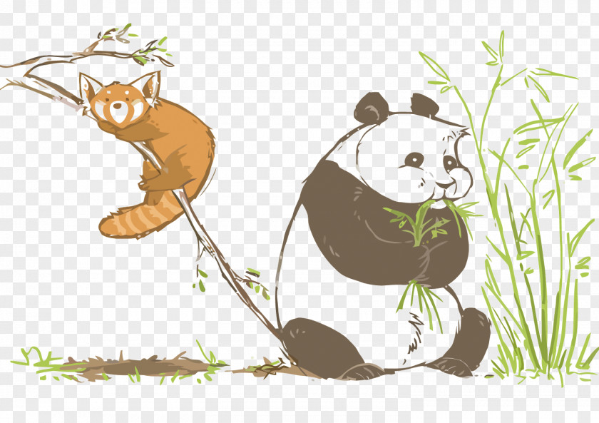 Vector Giant Panda And Bear Red Illustration PNG