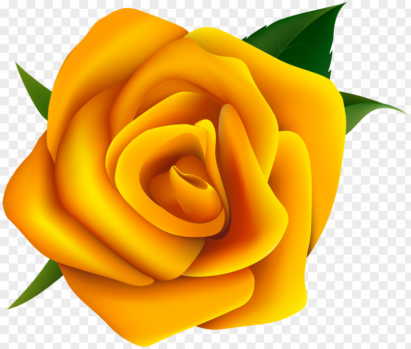 Yellow Rose Clipart Image Clip Art PNG