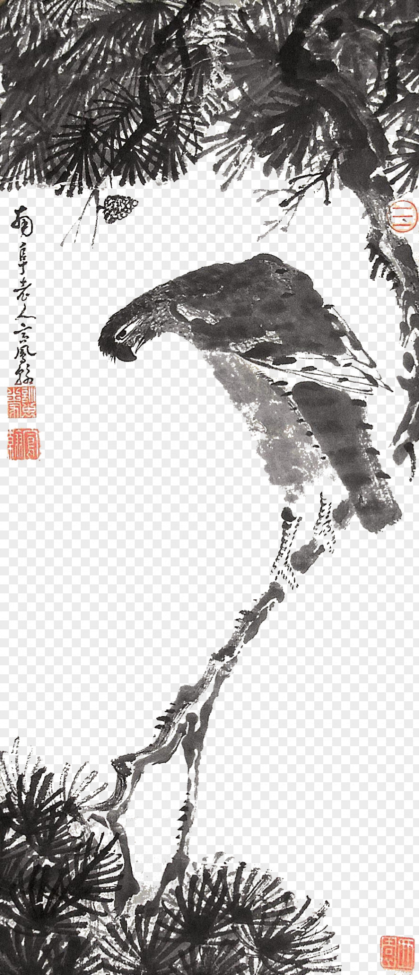 Eagle Ink Material Graphic Design Download Illustration PNG