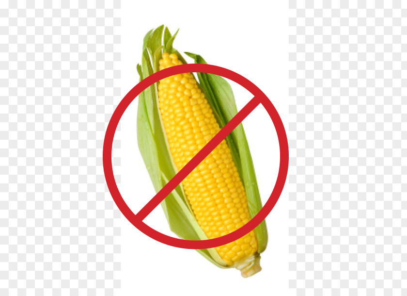 Ear Corn On The Cob Sweet Maize Stock Photography PNG
