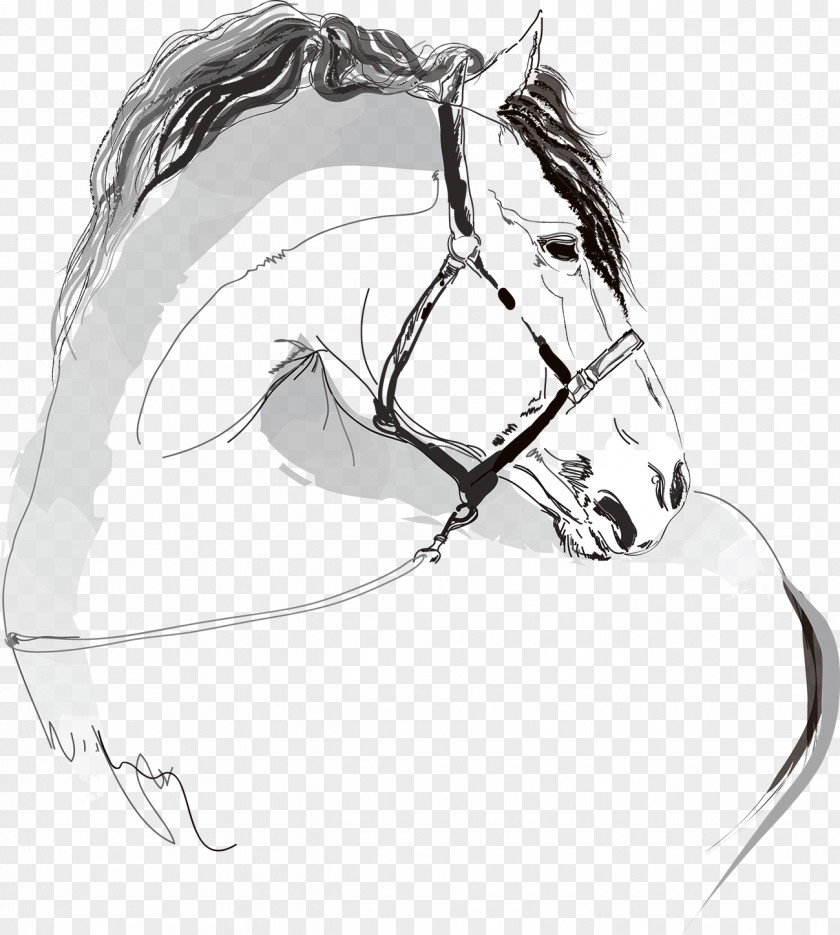 Galloping Horse Illustration PNG