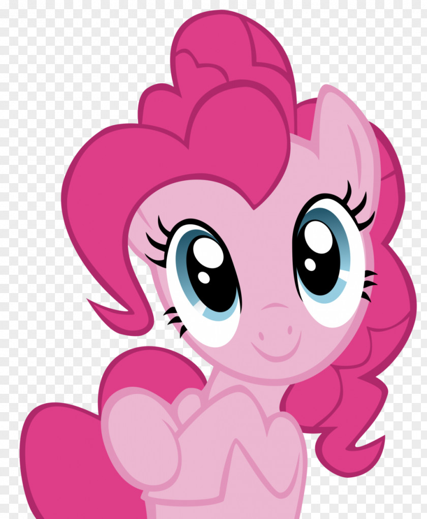 Pinkie Pie Rarity Twilight Sparkle Rainbow Dash Pony PNG