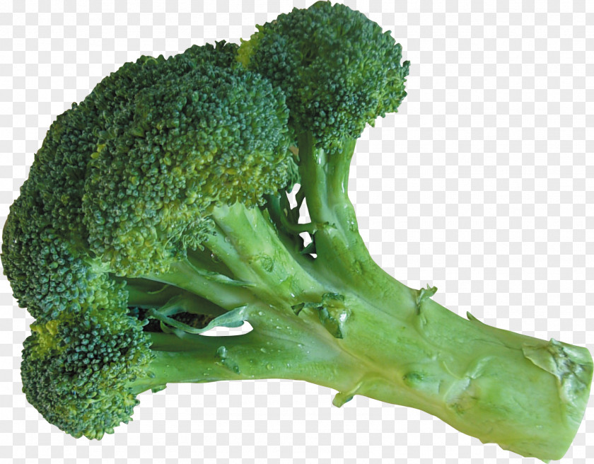 Cauliflower Broccoli Vegetable Food Ingredient PNG