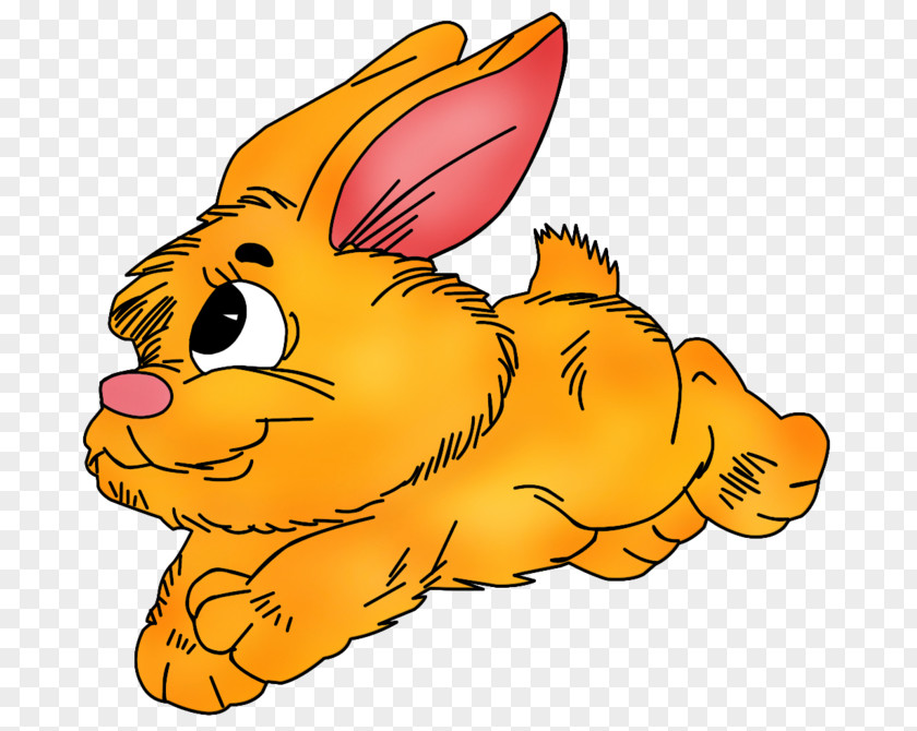 Computer Domestic Rabbit Hare Clip Art PNG