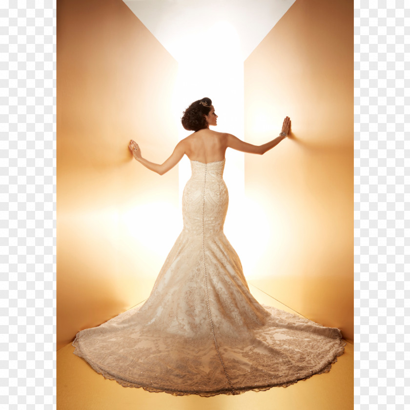 Dress Wedding Gown Shoulder Photo Shoot PNG