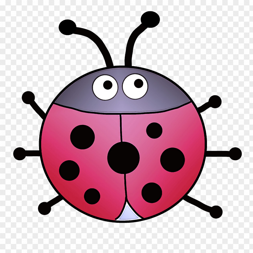 Ladybird Beetle Beetles Drawing Cartoon PNG