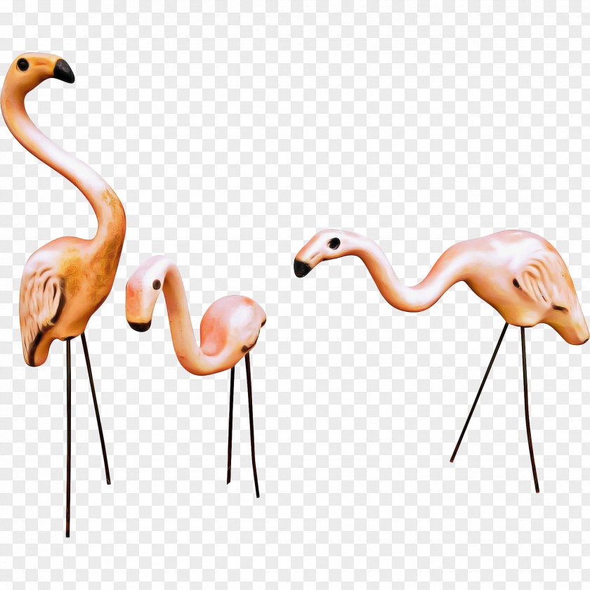 Art Neck Flamingo Cartoon PNG