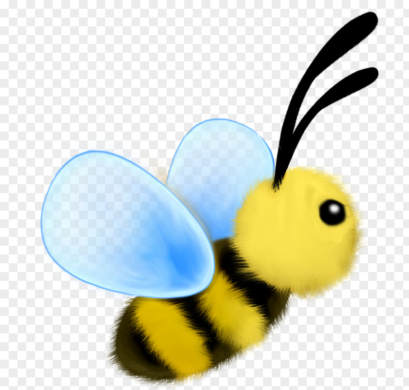 Bee Logo GIF Image Happiness Love Desktop Wallpaper PNG