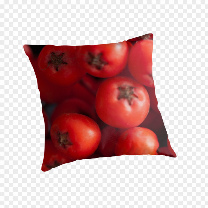 Mountain Ash Tomato Cushion PNG