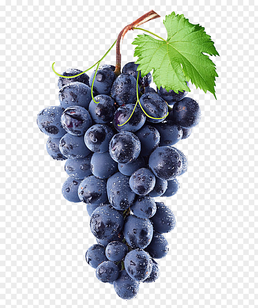 Purple Grape Common Vine Wine Isabella Concord PNG