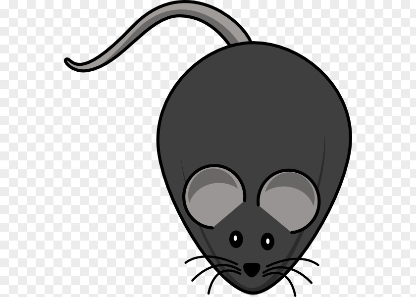 Rodent Cliparts Minnie Mouse Mickey Cartoon Clip Art PNG