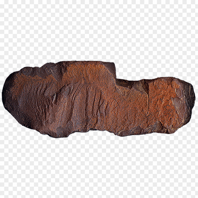 Romantic Branches Artifact Hafting Thor Tool Neolithic PNG