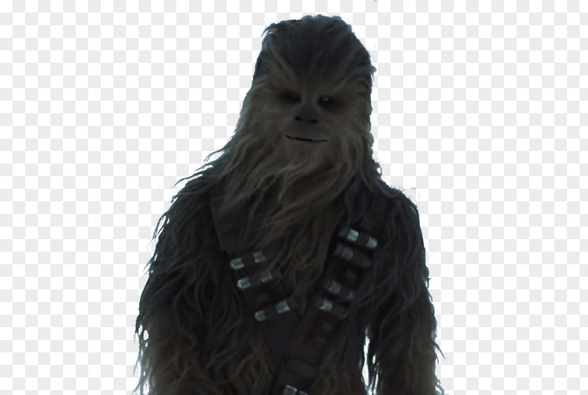 Solo A Star Wars Story Chewbacca Film IMAX Trailer Millennium Falcon PNG