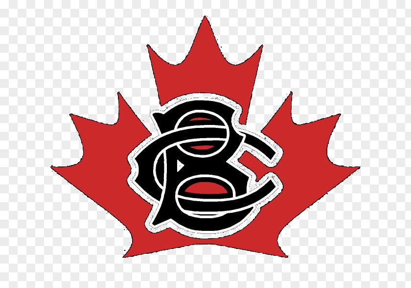 Canada Flag Of Black Ribbon Toronto PNG
