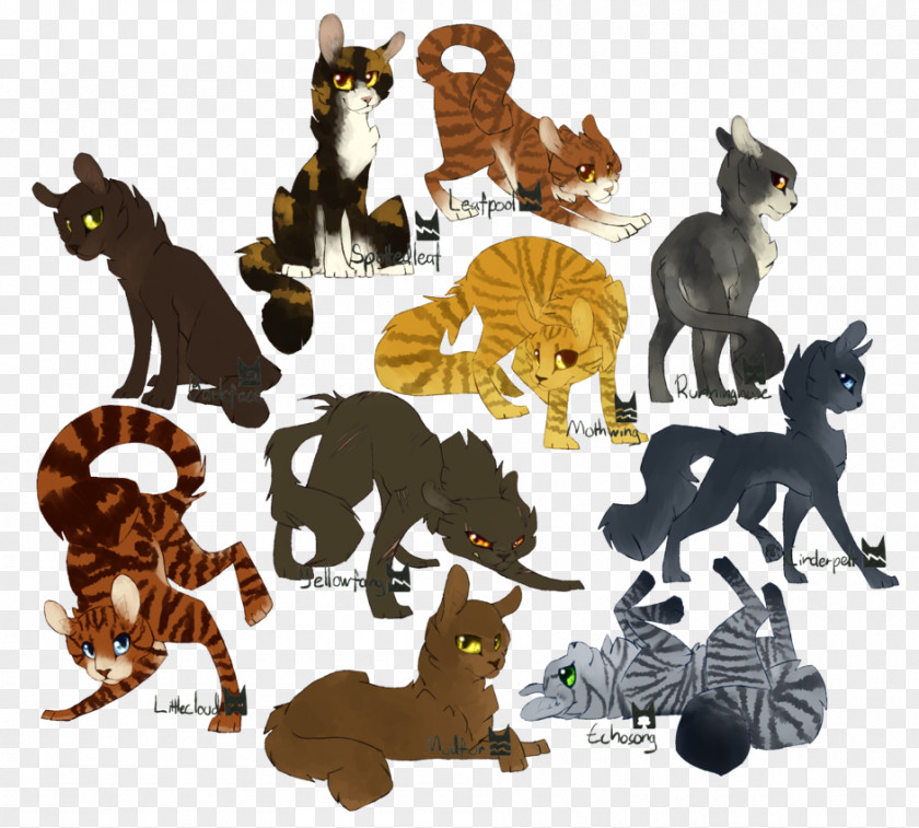 Cat Medicine Warriors Littlecloud Barkface PNG