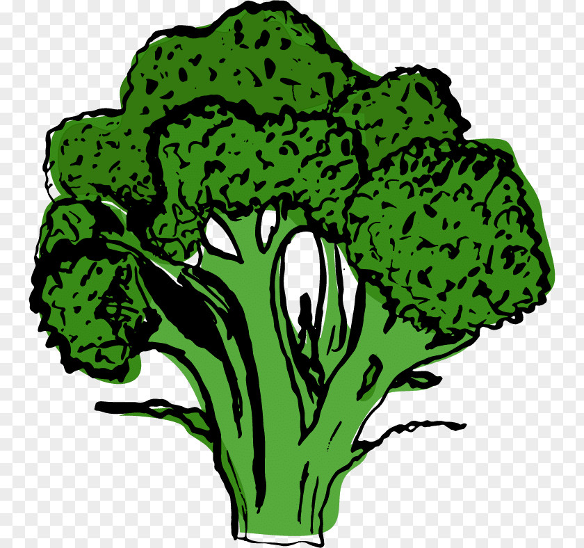 Celeriac Celery Greens Leaf Vegetable Plant Stem Infinity Foods PNG