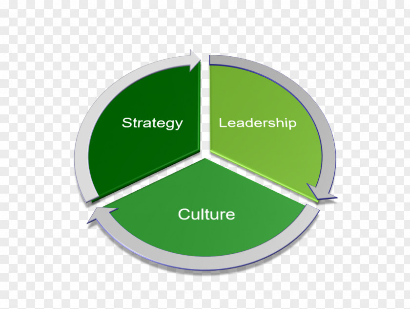 Corporate Culture Organizational Assessment Leadership PNG