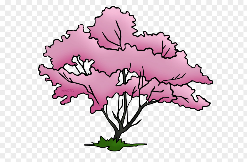 Flowering Dogwood Virginia State Tree Clip Art PNG