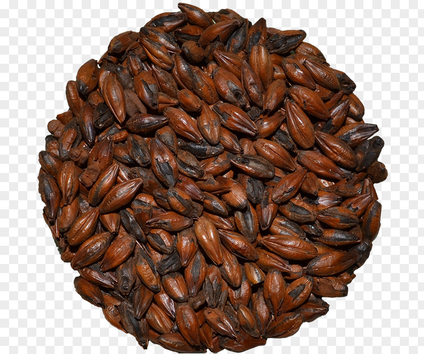 Grain Store Coffee Bean Cafe Caffeinated Drink PNG