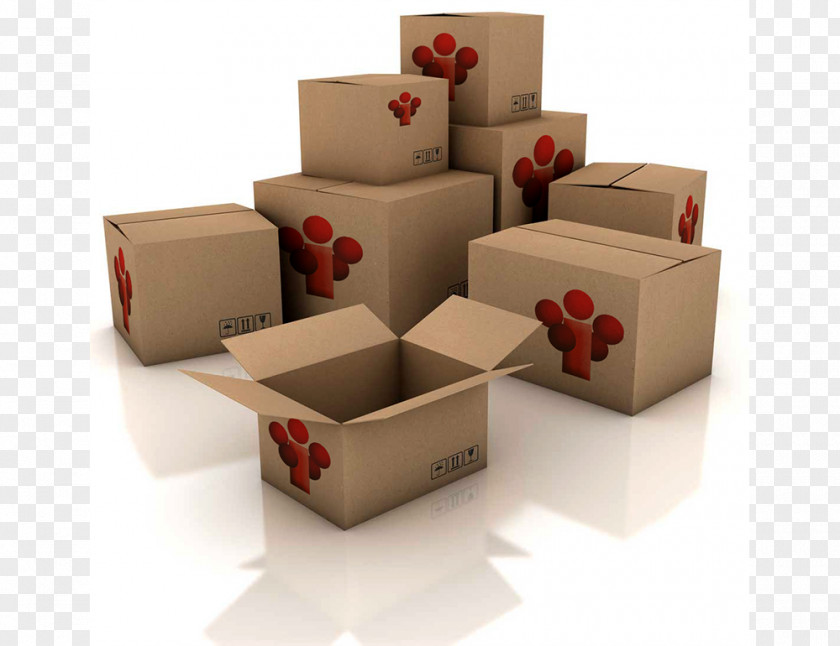 Highly Organized Mover Self Storage Packaging And Labeling Box PNG