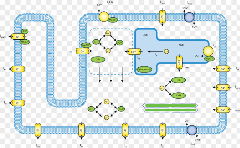 Line Point Technology PNG