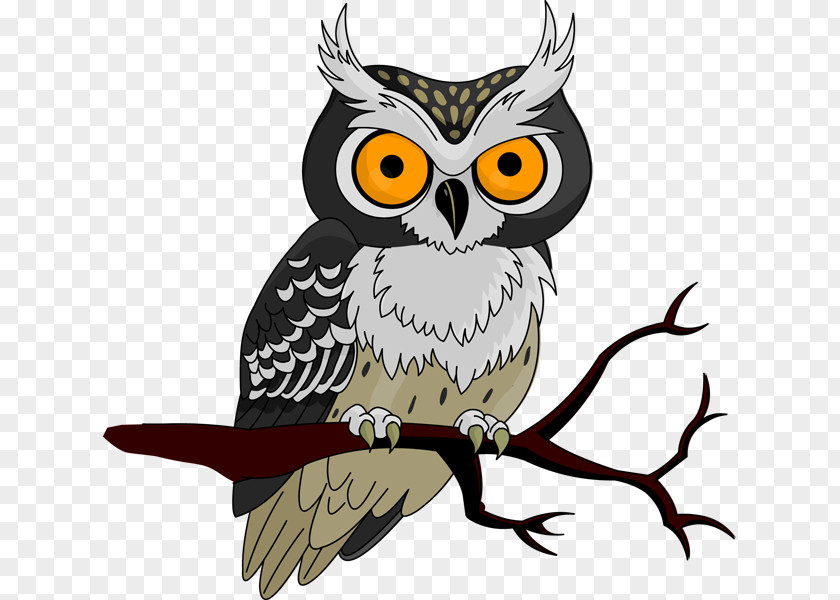 Owl Clip Art Owls To Athens Halloween Jack-o'-lantern PNG