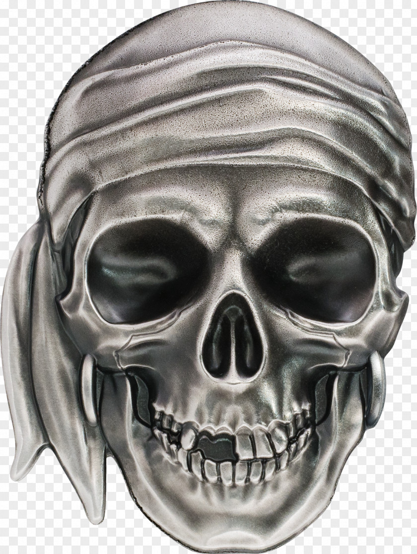 Skull Gold Coin Palau Silver PNG