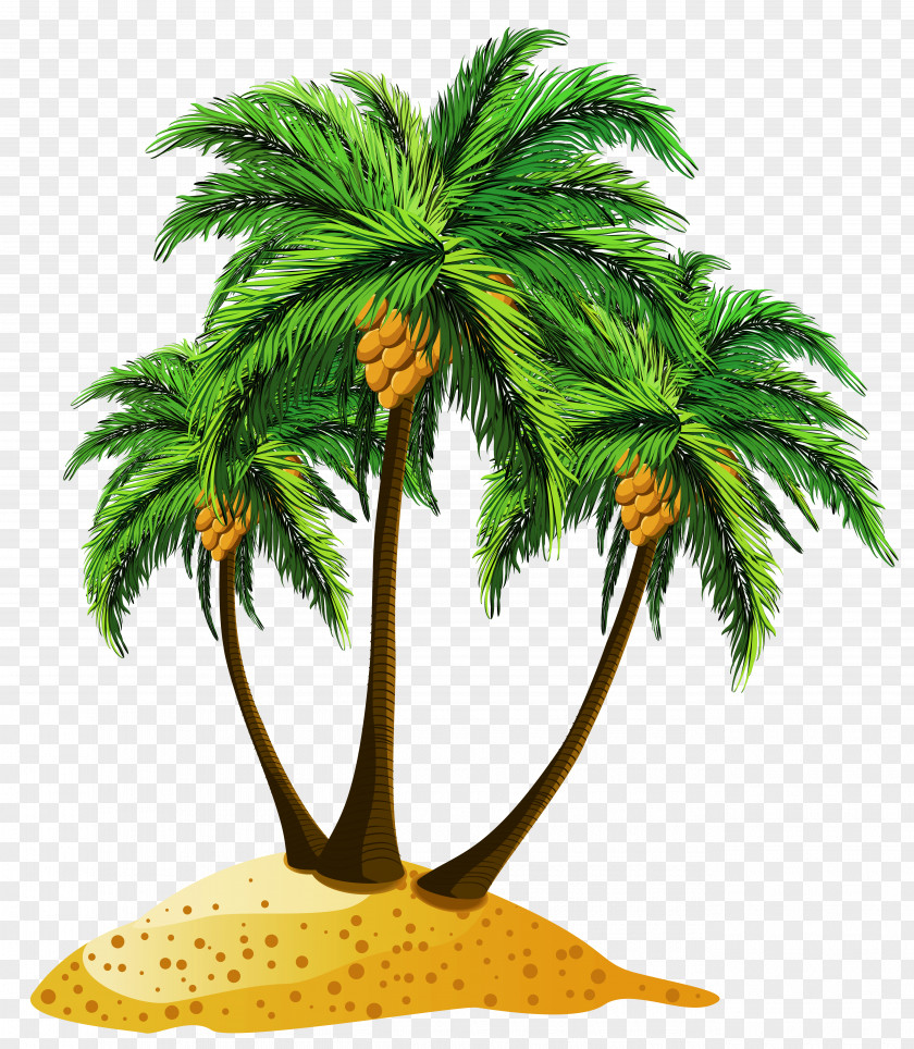 Transparent Beach Palms Decor Clipart Cartoon Royalty-free Island Illustration PNG