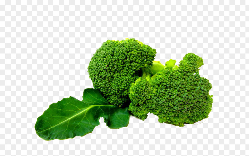Broccoli Slaw Vegetable PNG