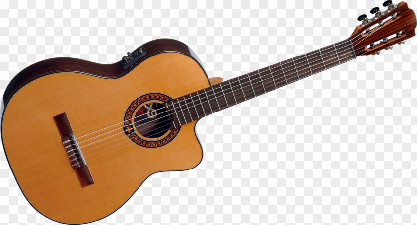 Guitar NAMM Show Acoustic-electric Takamine Guitars Acoustic PNG
