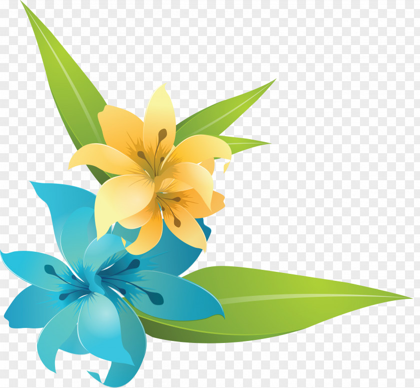 Hand-painted Lily Lilium Flower PNG
