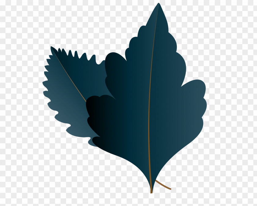 Leaf M-tree Teal Tree Plant Structure PNG